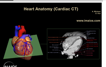 differences between complete anatomy and essential anatomy differences between complete anatomy and essential anatomy